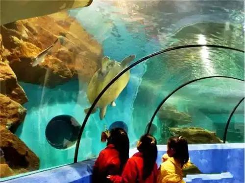 洛阳涧西区好玩的景点,洛阳郑州好玩的景点推荐