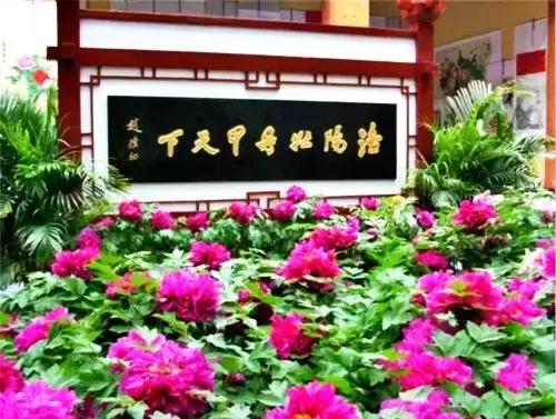 洛阳涧西区好玩的景点,洛阳郑州好玩的景点推荐