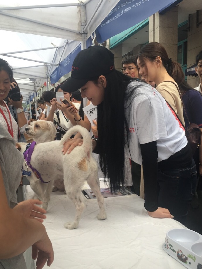 馨予出席宠物领养日很有爱，为何却被网友吐槽！