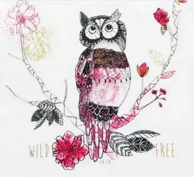 白菜价童装,白菜价精品童装