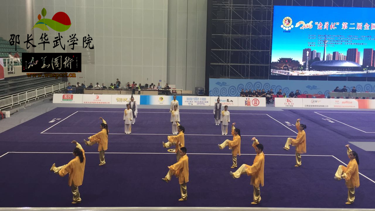 英姿飒爽战津门，武林大会再辉煌，龙身蛇形太极2016征战辉煌