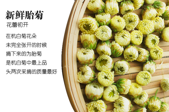 今年的新款胎菊,推荐一款胎菊