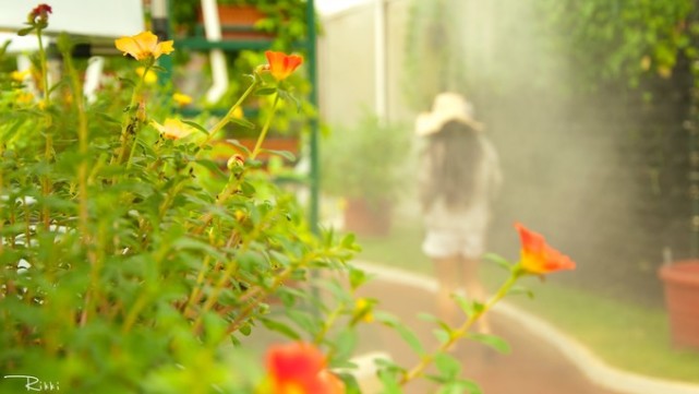 海岛兰卡威旅游,梦回兰卡威度假海岛