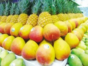 巴西男子身上莫名出现多处“鞭”痕，只因做了这件事...