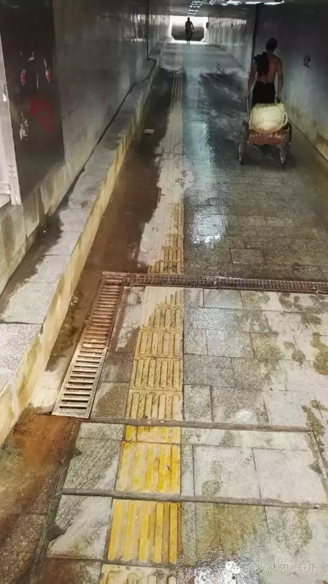 金沙洲哪里有水浸,金沙洲水浸吗