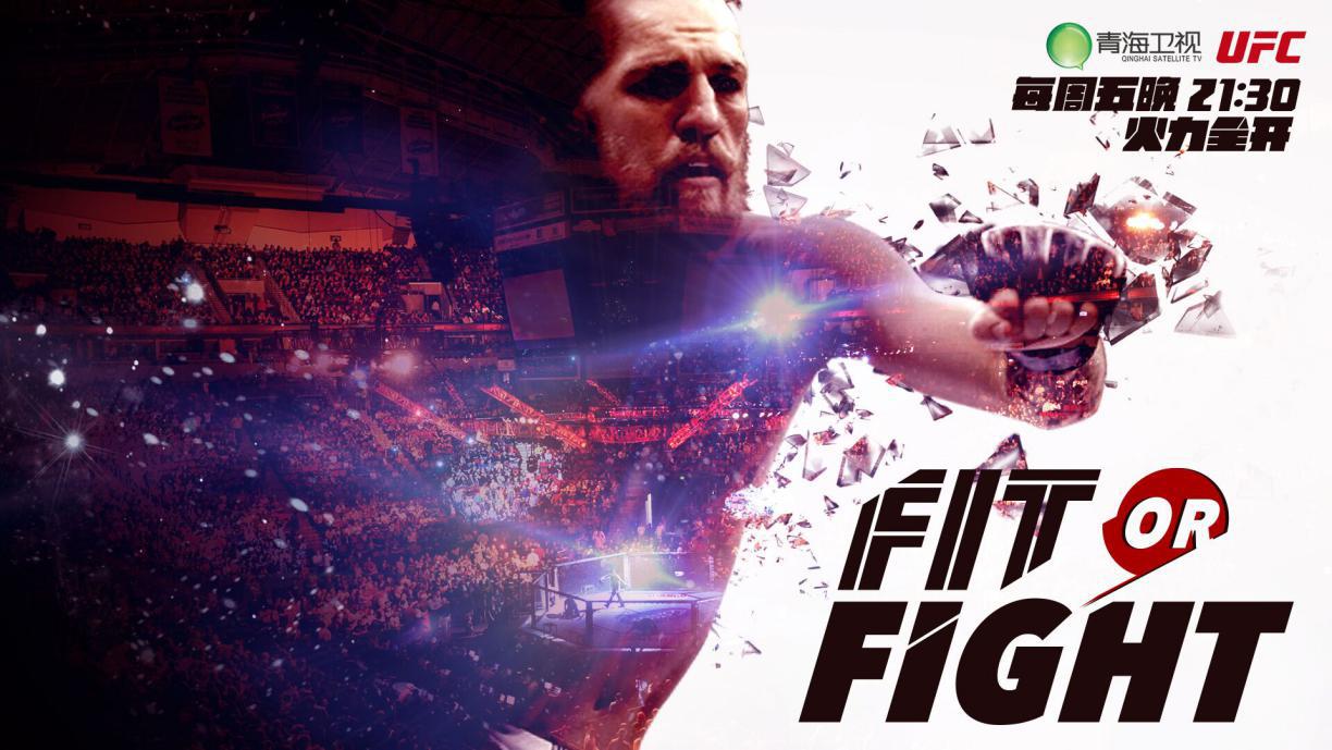 青海卫视领航逐梦向未来,青海卫视阿里