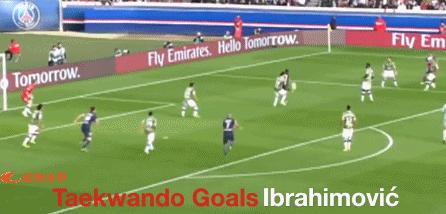 足坛100大进球大罗,足坛十大过人大师