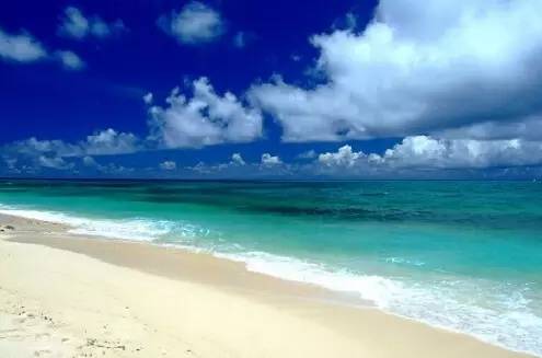 你为什么定居厦门,多少人离开了厦门