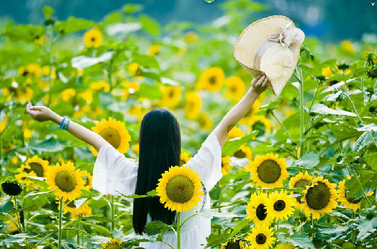 四川的小众旅行攻略,成都温江区旅游攻略来了