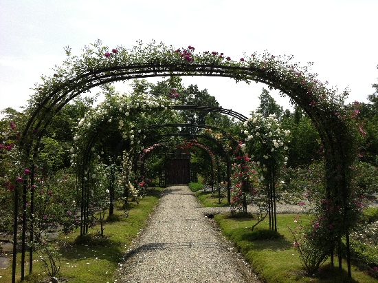 四川的小众旅行攻略,成都温江区旅游攻略来了