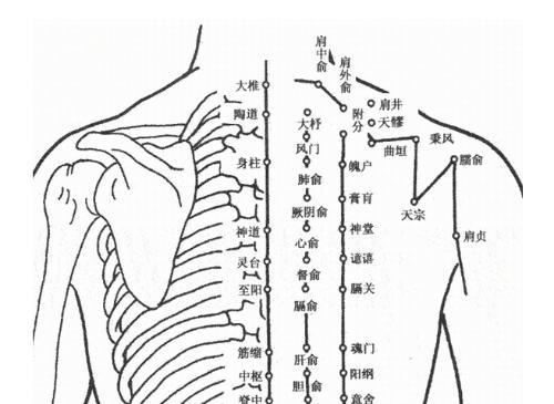 秋季养阳气,秋季养脾润肺