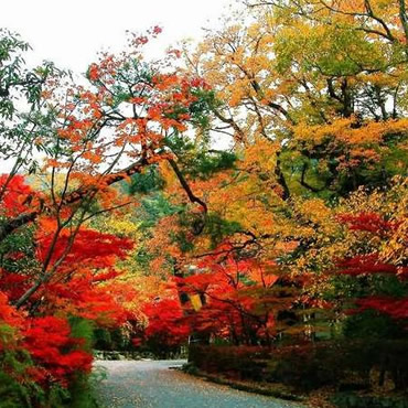 北京古城旅游景点大全,北京旅游景点简介介绍