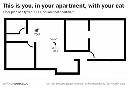 坐飞机脚肿了怎么办,坐飞机5小时脚会肿吗