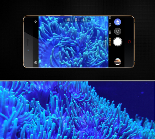 手机摄影普及，这几家厂商做了不可磨灭的贡献