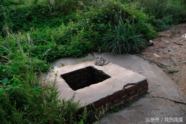 澶ц繛绾㈠矝,澶ц繛甯傞噾宸炲尯绾㈠矝
