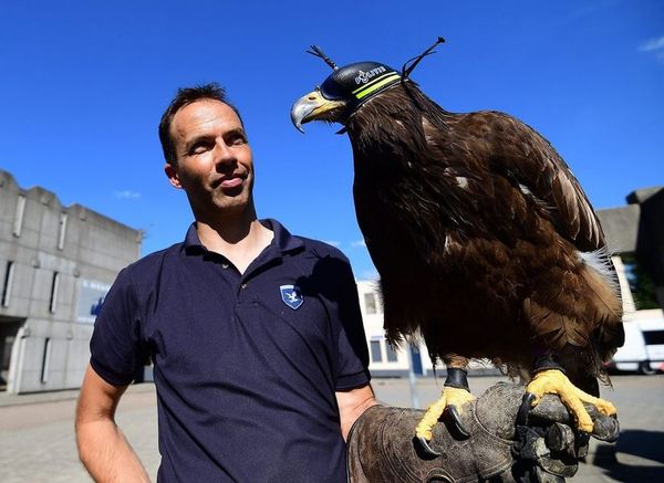 血滴子无人机视频,血滴子现在有吗