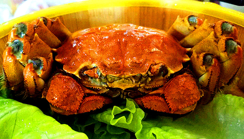 郴州国际大酒店五道菜,郴州百味食府