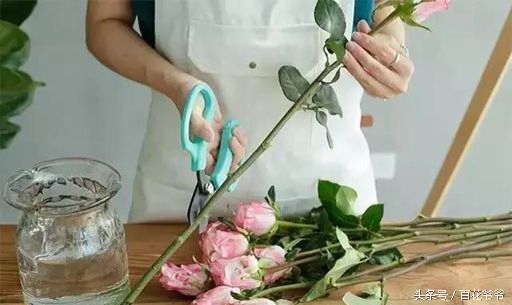 鲜花插花图解大全,鲜花醒花后怎么插花好看