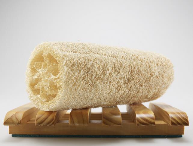 不谨慎被自家的狗狗咬了一口,不谨慎被狗狗咬手