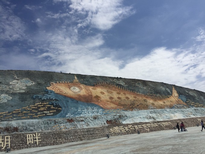 青海大西北之旅 (西宁青海湖张掖敦煌夏季之旅)