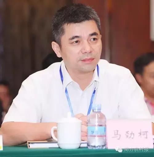 广东县域电商,广东省电商发展好的地方