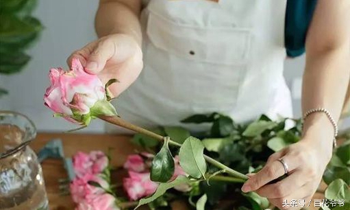 鲜花插花图解大全,鲜花醒花后怎么插花好看