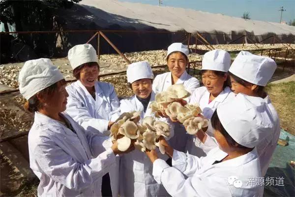 左崇香：二十载磨剑终有成