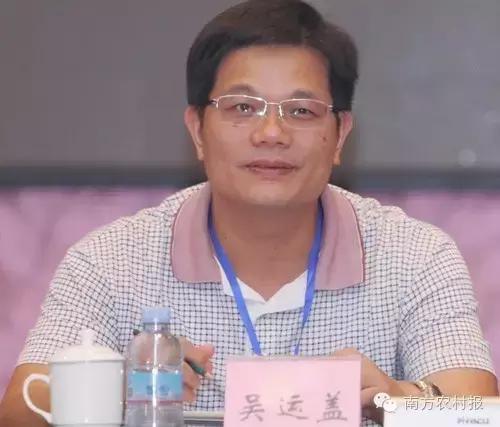 广东县域电商,广东省电商发展好的地方