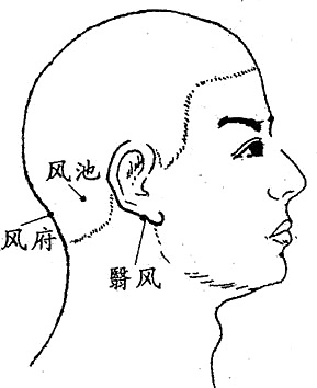 秋季养阳气,秋季养脾润肺