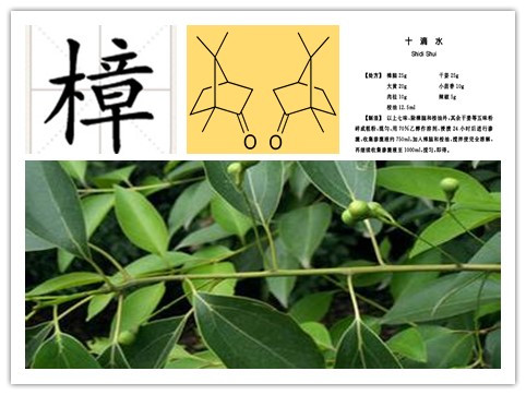 中药樟脑对小孩有害吗,樟脑乳膏宝宝能用吗