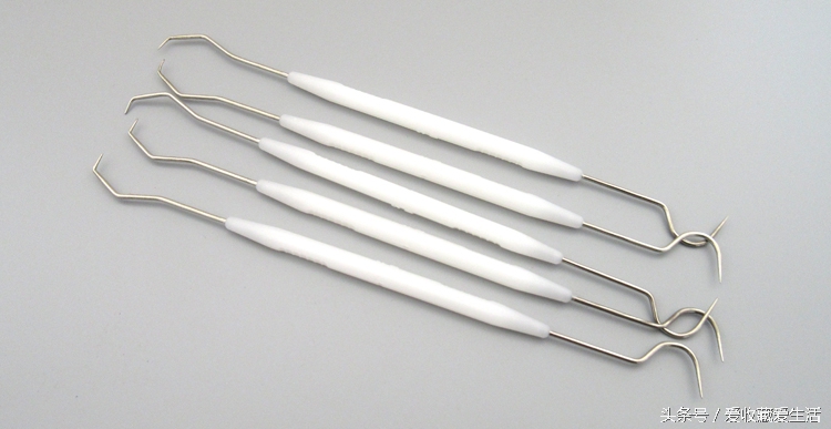 小金刚菩提深度清理方法,小金刚菩提清理不干净