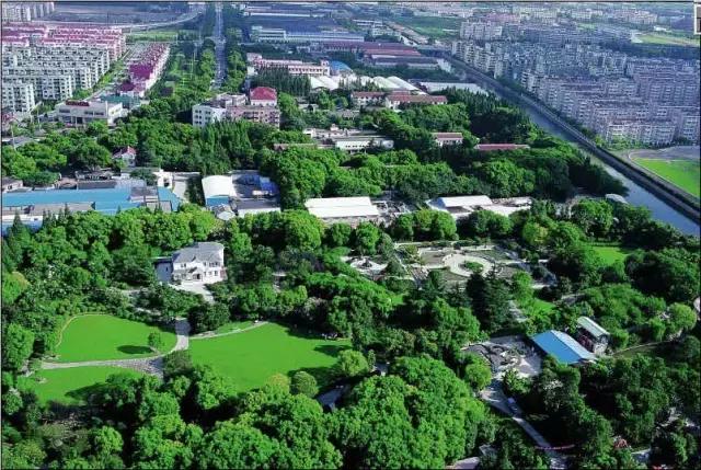 上海跟深圳综合实力对比,北京和上海综合实力对比