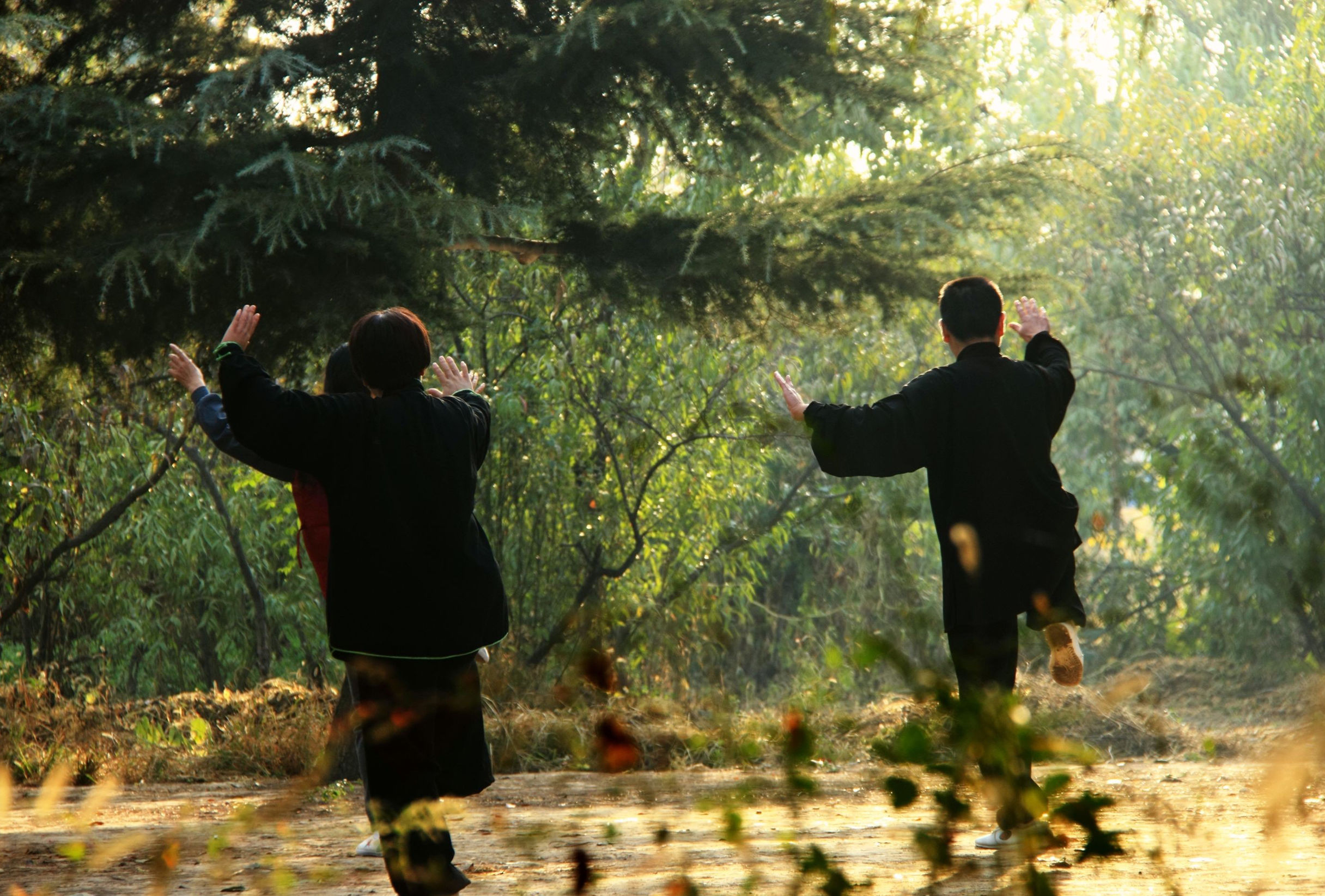 河南有什么拳,河南最凶恶拳种