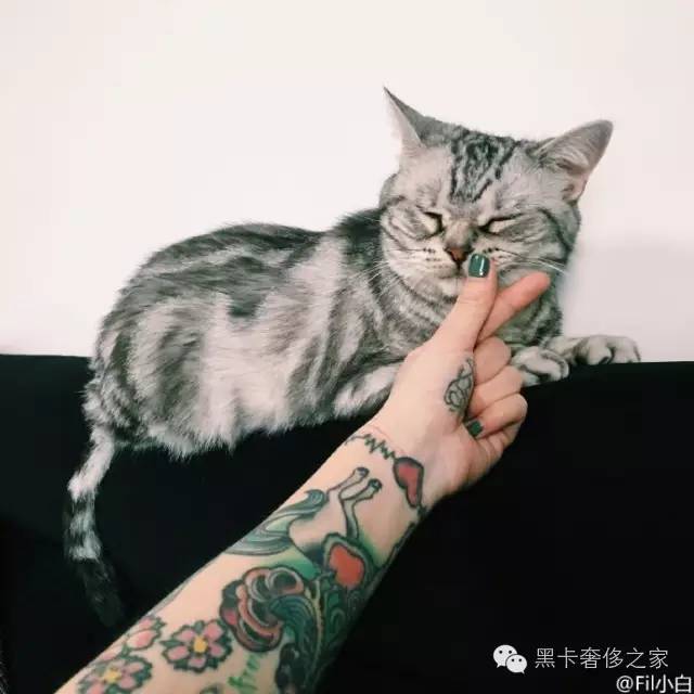 酷到无边际，下一任国产ItGirl就是她！