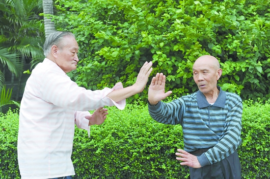 河南有什么拳,河南最凶恶拳种