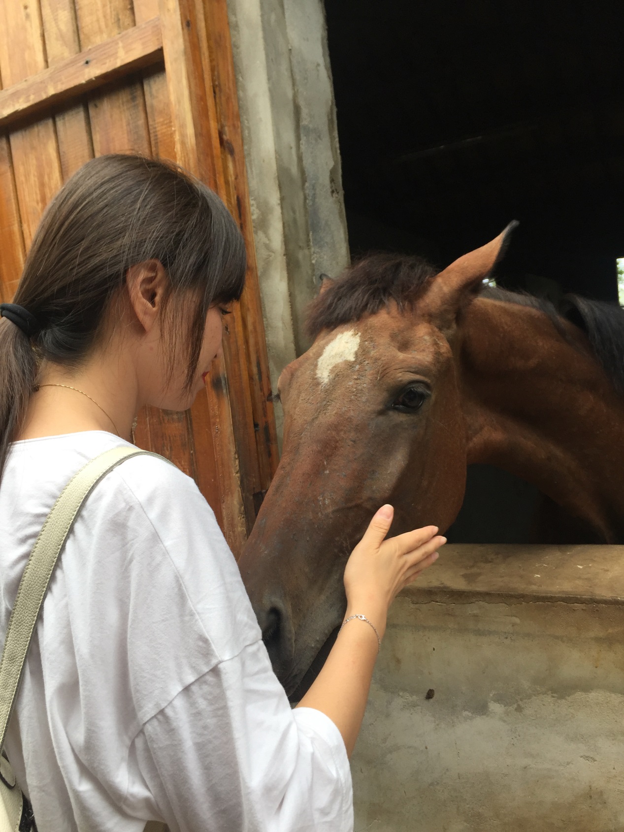 放慢脚步，带孩子住一晚农庄，骑一会儿马