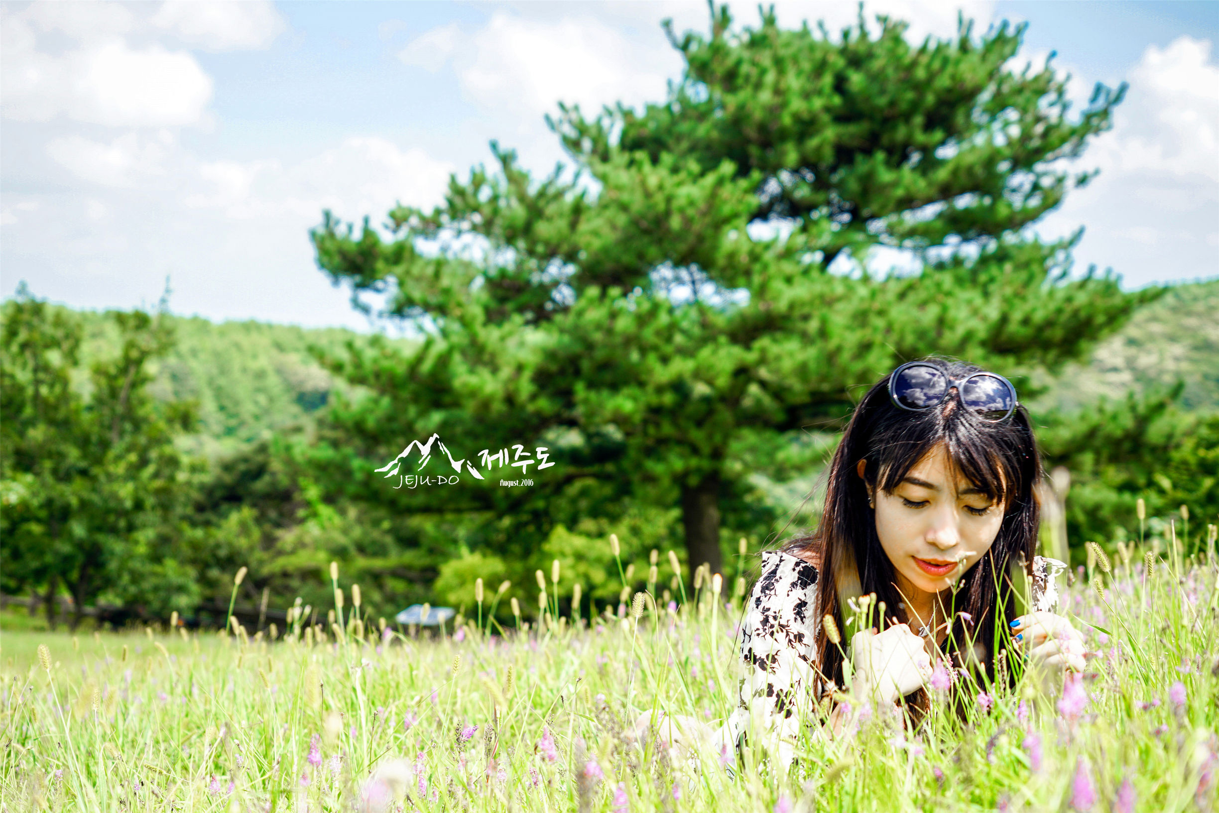 济州岛雨天旅行攻略视频,冬季济州岛亲子游详细攻略
