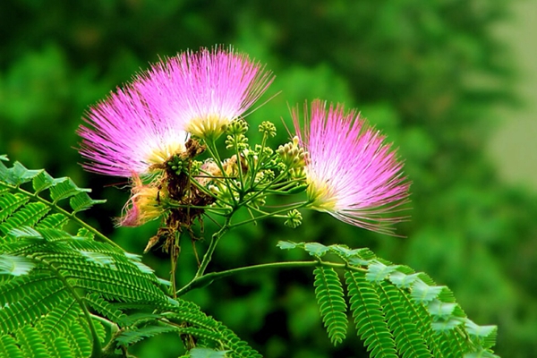 喉咙有异物吐不出来咽不下去又痒,喉咙有异物吐不出来咽不下去有血