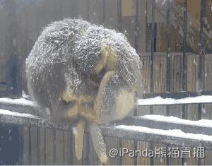 寒潮来袭全省将迎来断崖式降温,20多省份遭寒潮速冻降温超10度