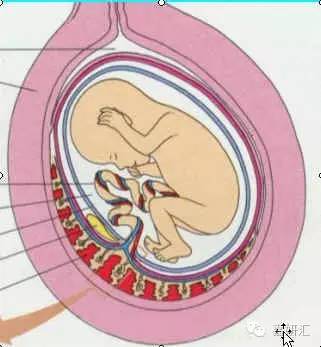 知道这5点你还会骂孩子吗,知道这10点才是真正的了解孩子