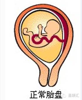 知道这5点你还会骂孩子吗,知道这10点才是真正的了解孩子