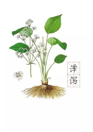 建瓯小吃鸡茸,建瓯名小吃鸡茸