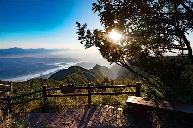 洛阳明天有哪些景点开放,洛阳必去的三个景点免费开放