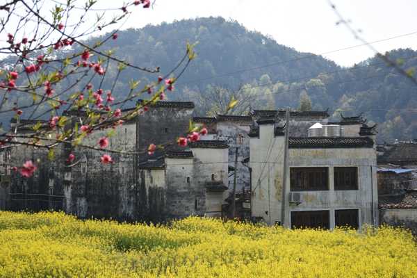 春天去婺源5天自驾游攻略,追随春的脚步