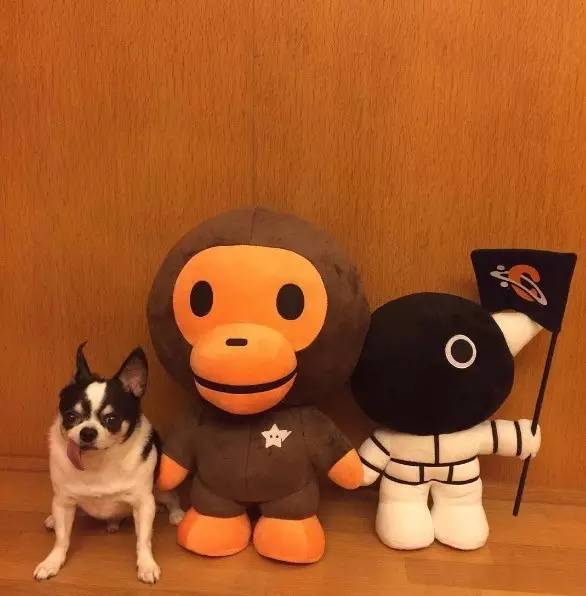 余文乐公开恋情了吗,小仪余文乐