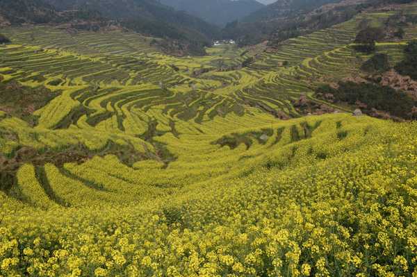春天去婺源5天自驾游攻略,追随春的脚步