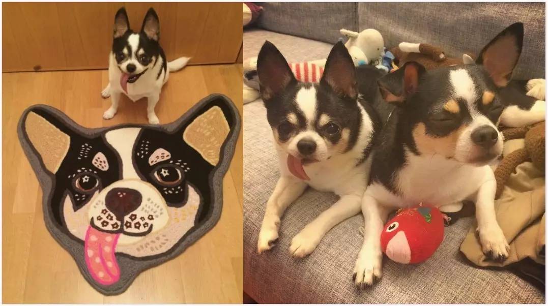 余文乐公开恋情了吗,小仪余文乐