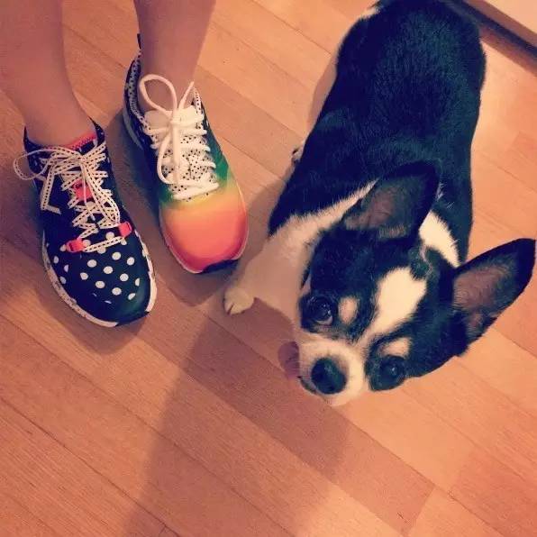 余文乐公开恋情了吗,小仪余文乐