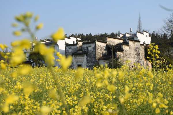 春天去婺源5天自驾游攻略,追随春的脚步