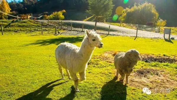 随手一拍都是一个风景视频,随手一拍就是一幅油画